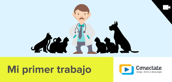 Imagen de la colección: Mi primer trabajo
