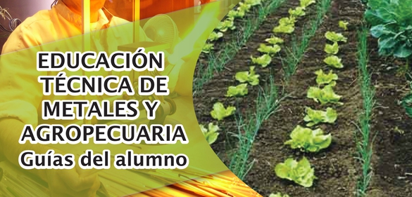 Módulo N°4 Germinadores y Viveros Agroforestales: Guía del alumno