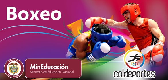 Boxeo: Categorías de peso (Juniors y seniors)