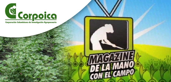 Cambio climático: parte 2 de 3