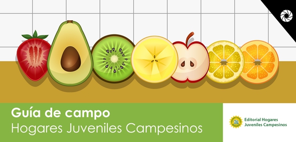Imagen de la colección: Guía de campo: Hogares Juveniles Campesinos