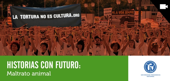 Imagen de la colección: Historias con Futuro: Maltrato animal