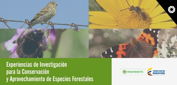 Imagen de la colección: Experiencias de Investigación para la Conservación y Aprovechamiento de Especies Forestales