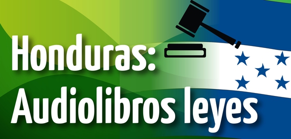 Ley de violencia doméstica