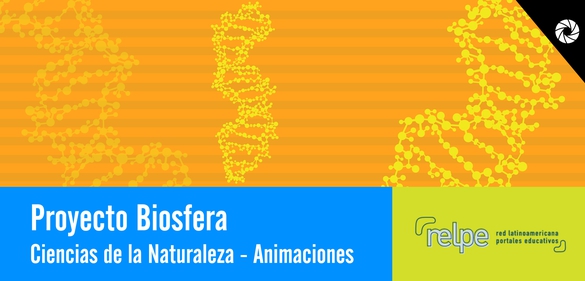 Imagen de la colección: Proyecto Biosfera. Ciencias de la Naturaleza  - Animaciones