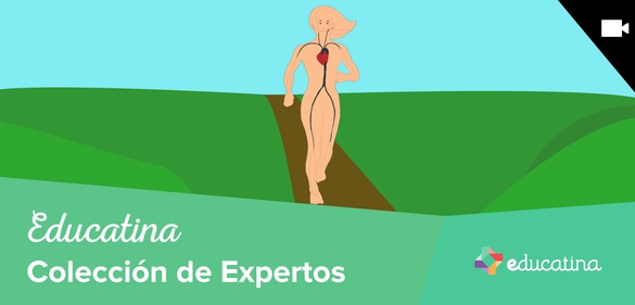 Imagen de la colección: Educatina Colección de Expertos