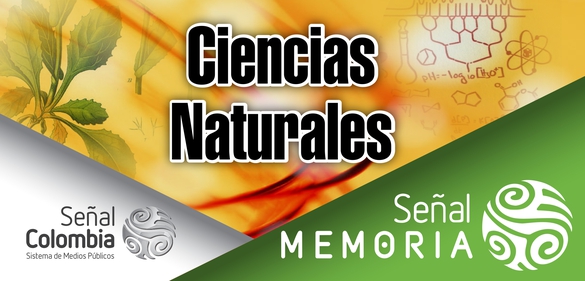 Imagen de la colección: Señal memoria: Ciencias Naturales