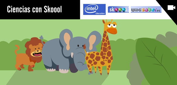 Imagen de colección