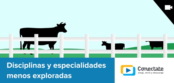 Imagen de la colección: Disciplinas y especialidades menos exploradas
