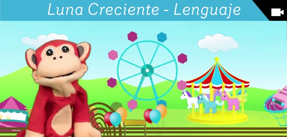 Imagen de colección