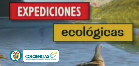 Imagen del recurso