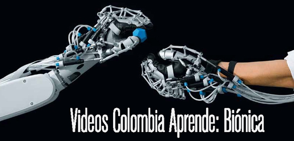 Imagen de la colección: Videos Colombia Aprende: Biónica