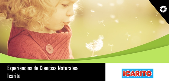 Tercero básico: Clasifiquemos a los animales invertebrados