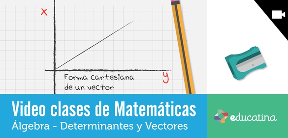 Imagen de la colección: Video clases de Matemáticas: Álgebra - Determinantes y Vectores