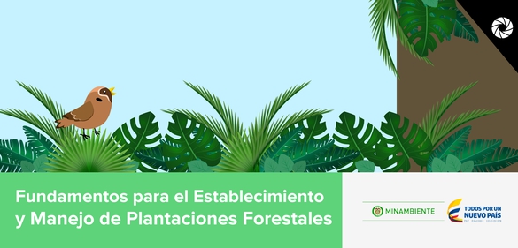 Imagen de la colección: Fundamentos para el Establecimiento y Manejo de Plantaciones Forestales